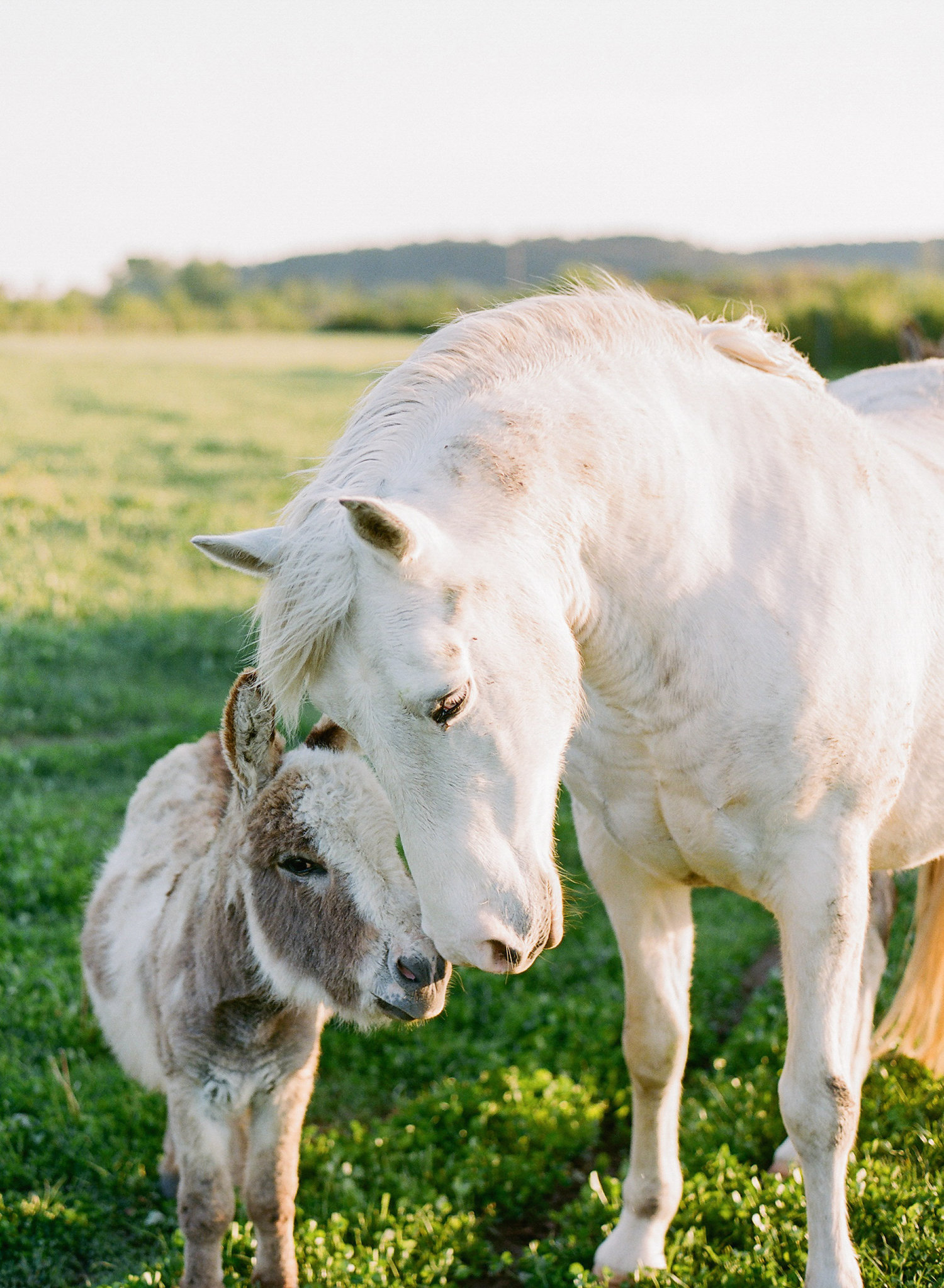 Organiser un mariage green - Blog Mariage Madame C