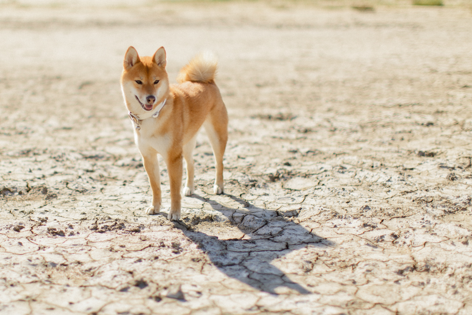 Le Jour d'après - Vanessa + Mathieu - Blog Mariage Madame C