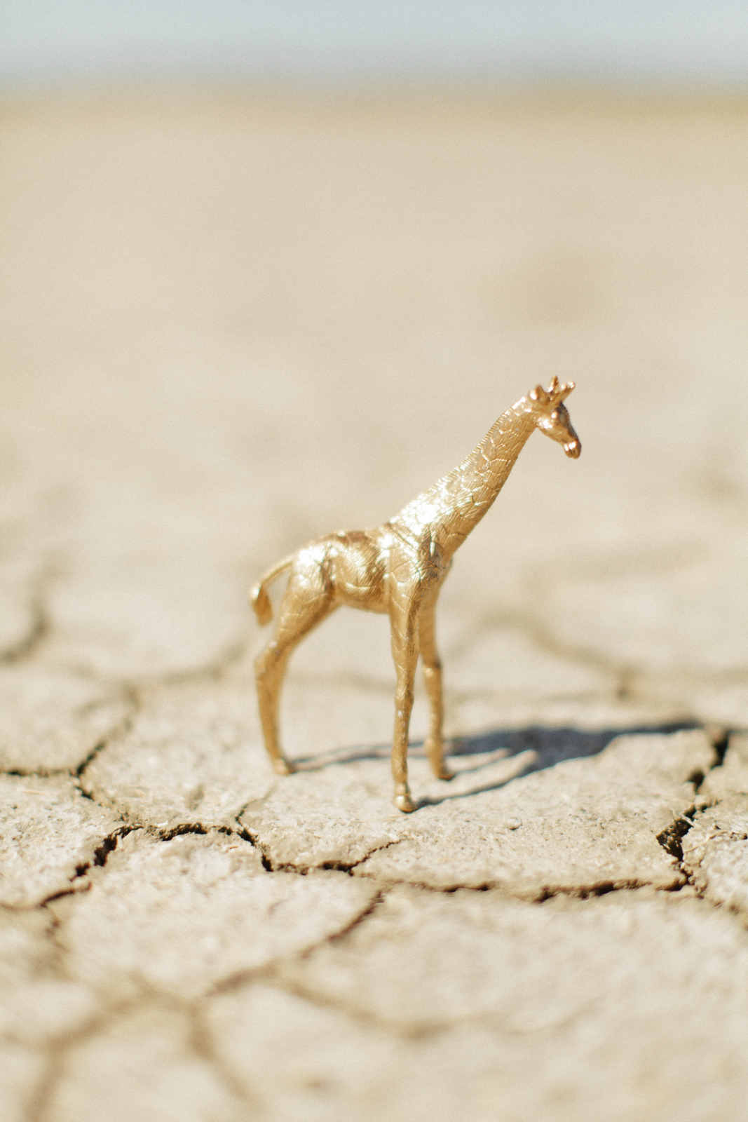 Le Jour d'après - Vanessa + Mathieu - Blog Mariage Madame C