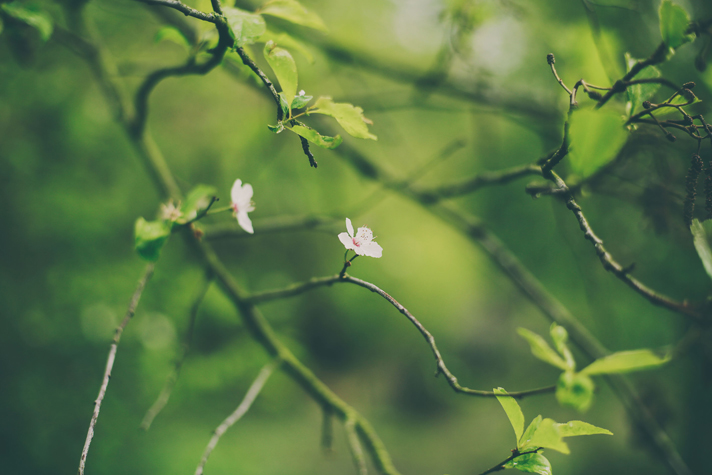 Mariage champêtre en Belgique - Mélanie + Guillaume - Blog Mariage Madame C