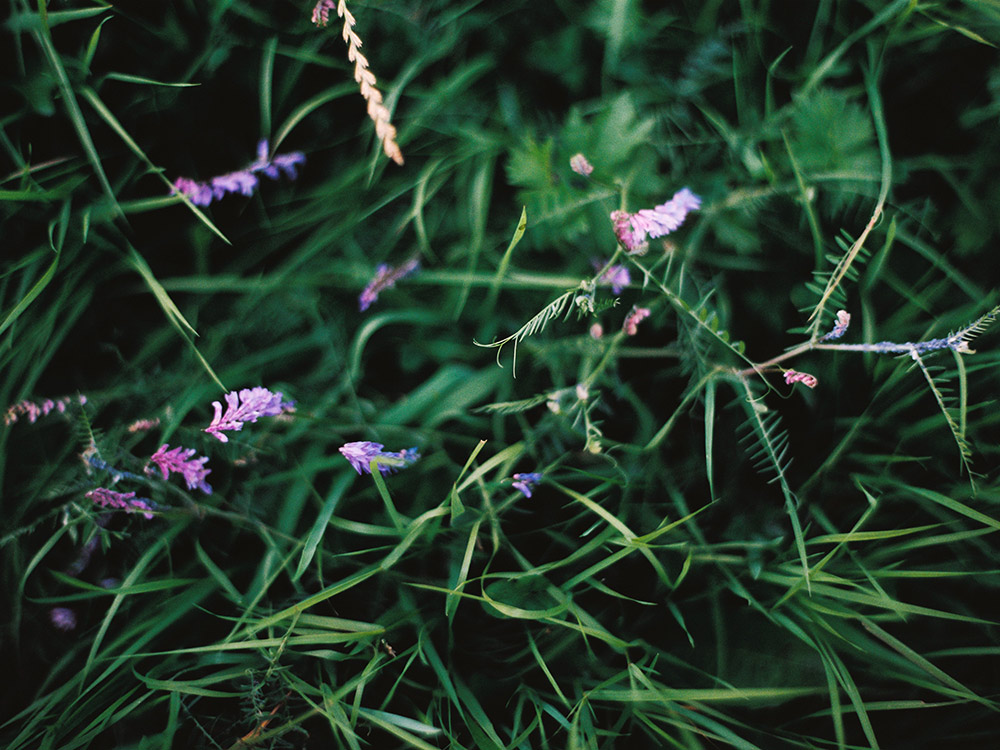 Day After au Château de Caillac - Yela + Karl - Blog Mariage Madame C Day After au Château de Caillac - Yela + Karl - Blog Mariage Madame C