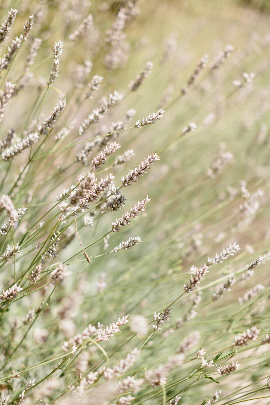 Devenir Wedding-Planner - Conseils et astuces - Blog Mariage Madame C Devenir Wedding-Planner - Conseils et astuces - Blog Mariage Madame C