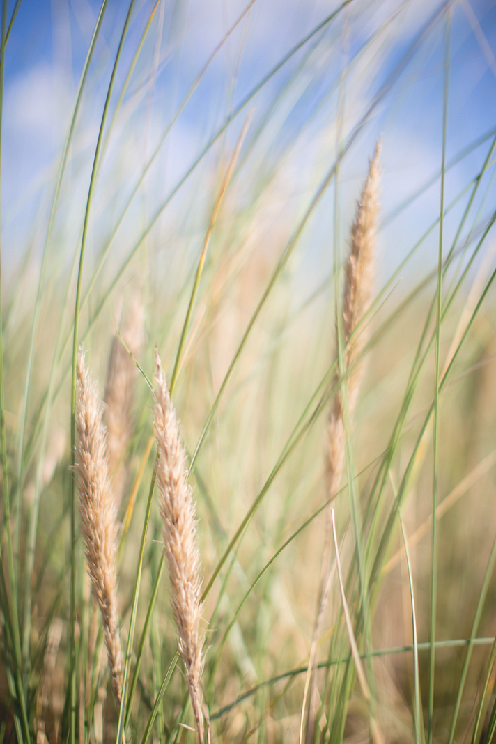 Mariage en bleu en bord de mer // Crédits - Veronique Lorre et Bubblerock D'amour et d'eau Fraîche - Mariage à la plage - Blog Mariage Madame C