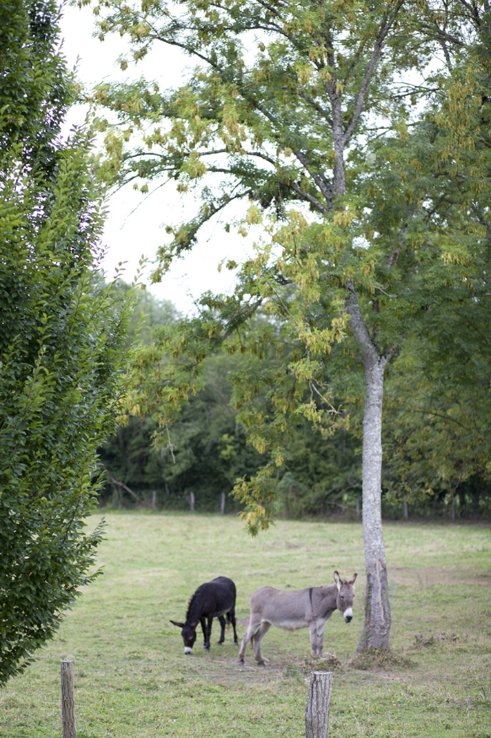 Mariage à la campagne en Bourgogne - Christelle + Martin - Blog Mariage Madame C