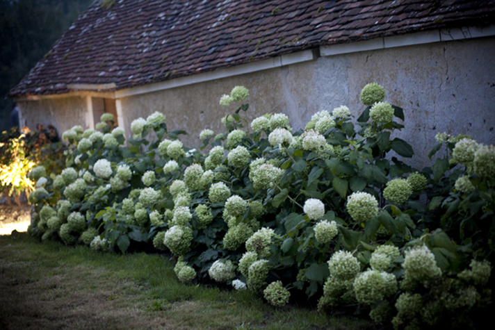 Mariage à la campagne en Bourgogne - Christelle + Martin - Blog Mariage Madame C