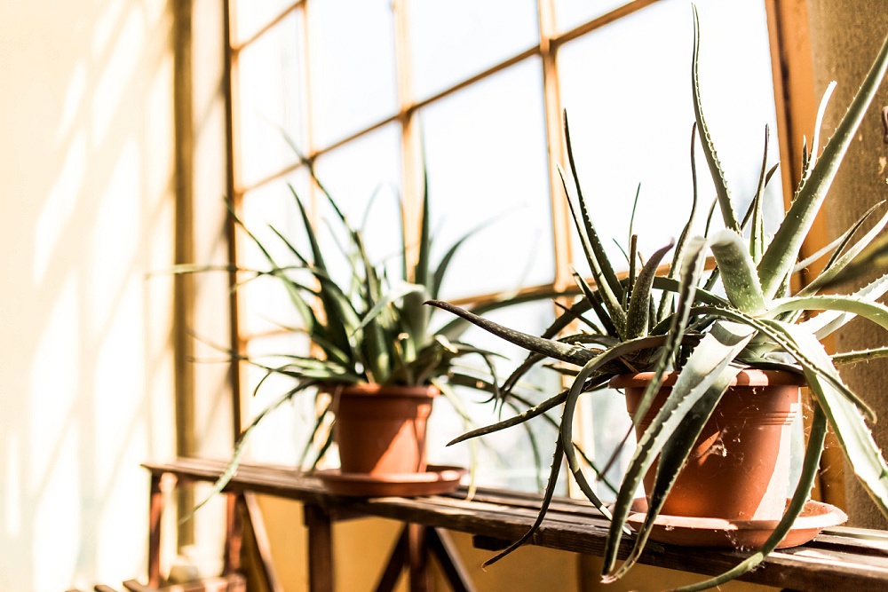 Ambiance Pourpre en Italie - Blog Mariage Madame C