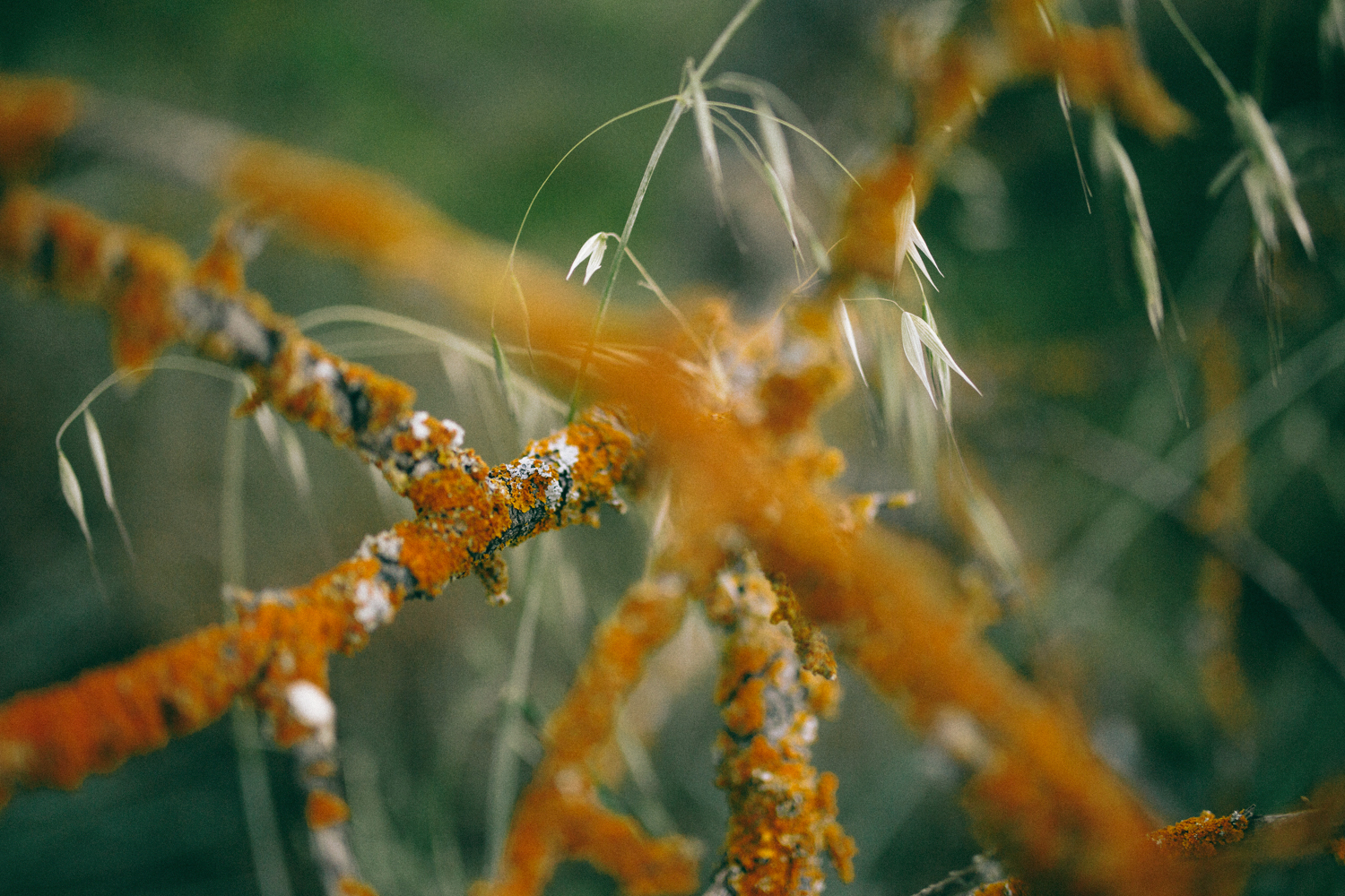 Mariage au Domaine de la Roquette - Blog Mariage Madame C Mariage au Domaine de la Roquette - Blog Mariage Madame C