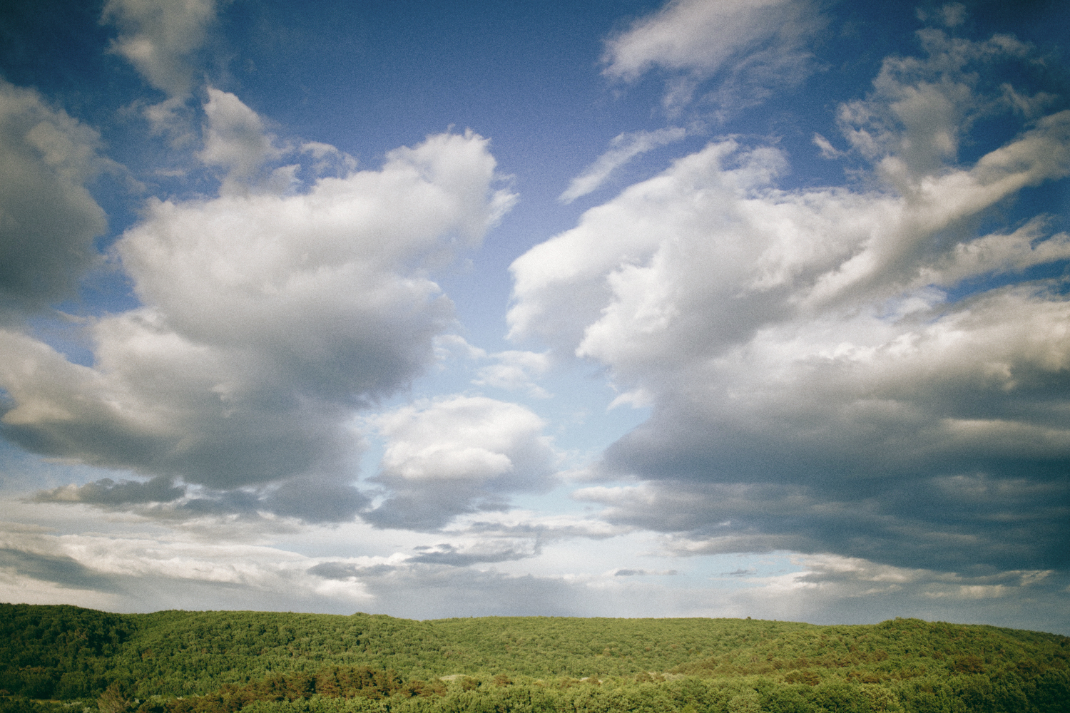 Mariage au Domaine de la Roquette - Blog Mariage Madame C Mariage au Domaine de la Roquette - Blog Mariage Madame C