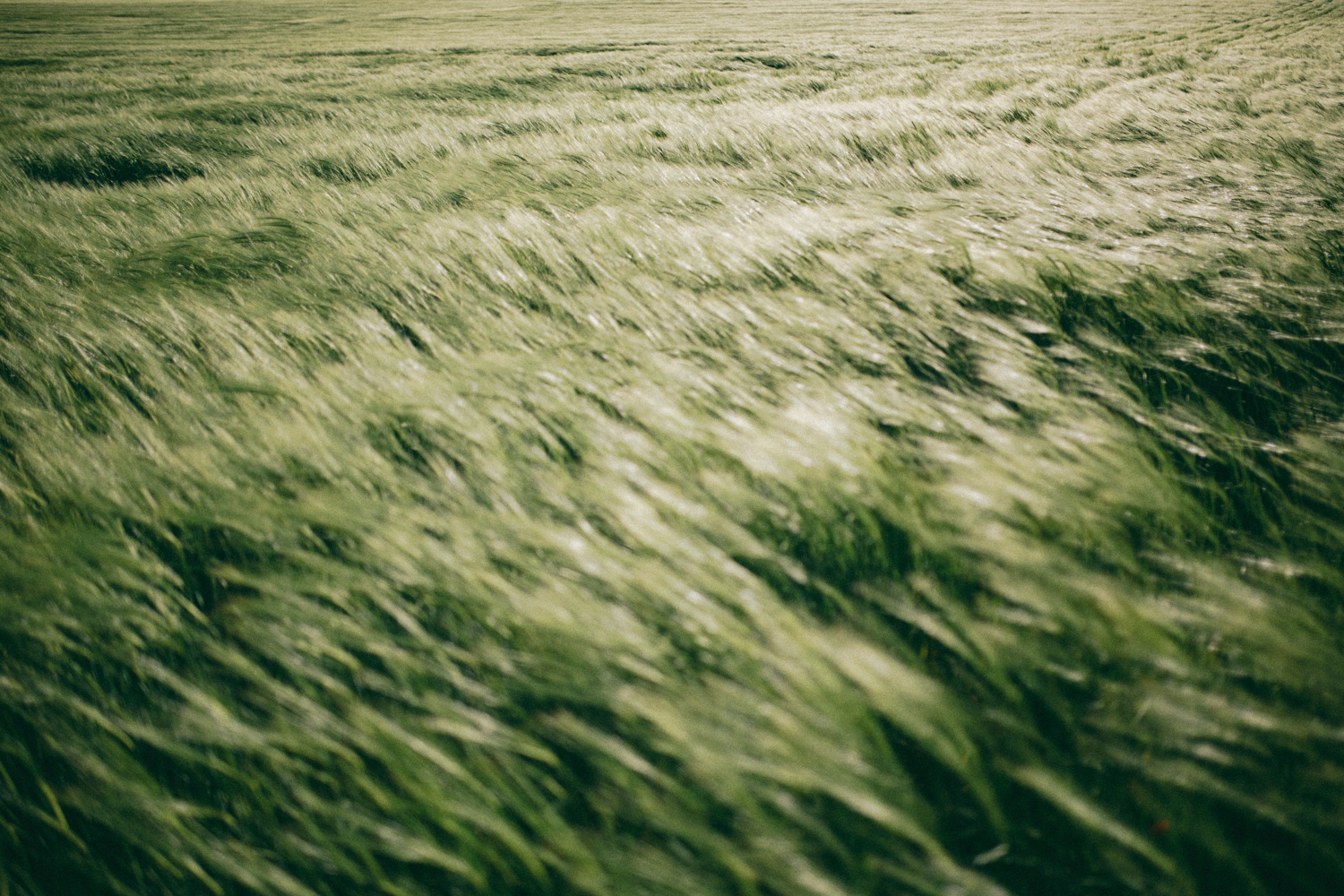 Mariage au Domaine de la Roquette - Blog Mariage Madame C Mariage au Domaine de la Roquette - Blog Mariage Madame C