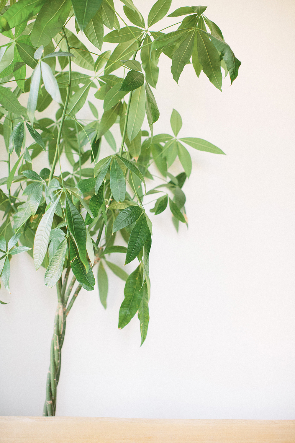 Coiffures années folles pour cheveux courts - Blog Mariage Madame C Coiffures années folles pour cheveux courts - Blog Mariage Madame C