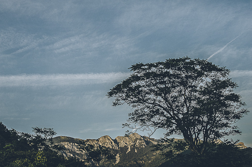 Un mariage dans l'arrière-pays niçois - Margot + Laurent - Blog Mariage Madame C Un mariage dans l'arrière-pays niçois - Margot + Laurent - Blog Mariage Madame C