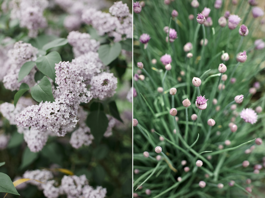 Un mariage champêtre en Lorraine - Blog Mariage Madame C Un mariage champêtre en Lorraine - Blog Mariage Madame C
