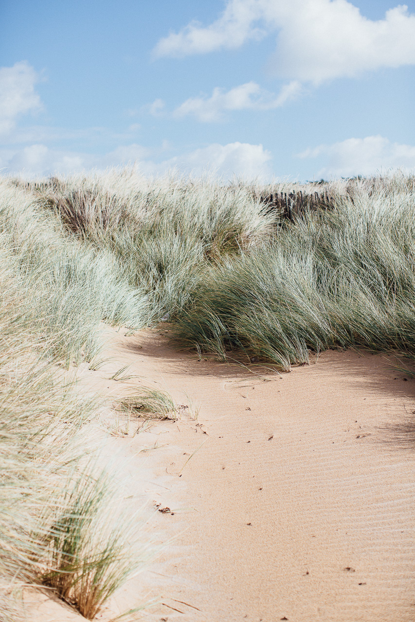 Faubourg St Sulpice Collection 2016 - Costume de mariage - Blog Mariage Madame C