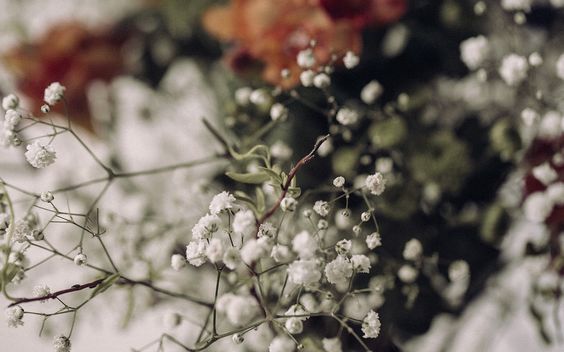 Laure de Sagazan Collection Civile 2016 - Robes de mariée - Blog Mariage Madame C