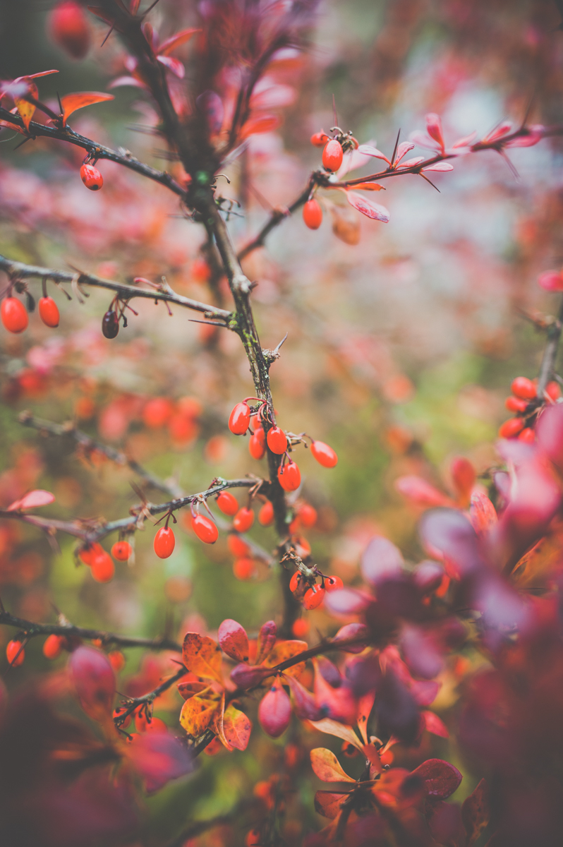 Mariage d'hiver rustique chic - Blog Mariage Madame C Mariage d'hiver rustique chic - Blog Mariage Madame C