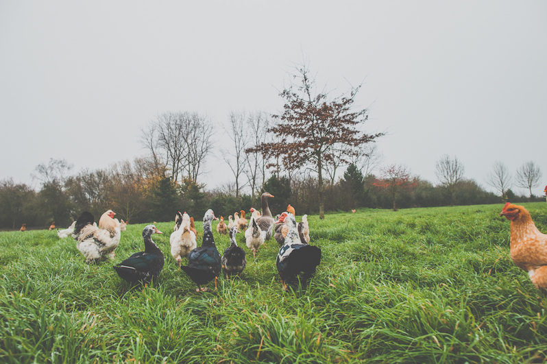 Mariage d'hiver rustique chic - Blog Mariage Madame C Mariage d'hiver rustique chic - Blog Mariage Madame C