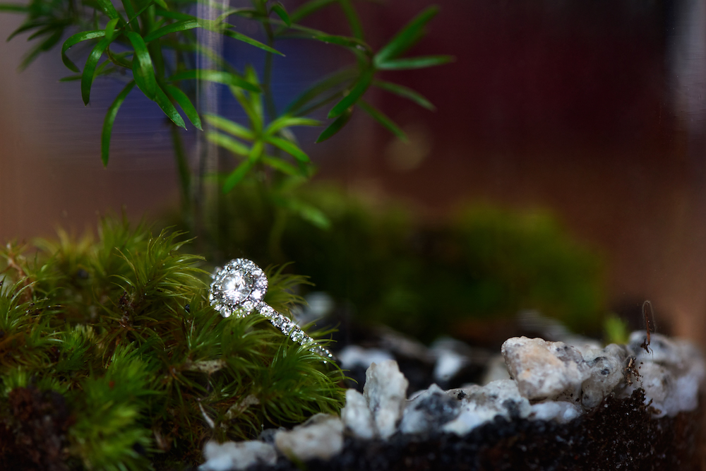 Pérouse Paris, Alliances et bagues de fiançailles - Blog Mariage Madame C