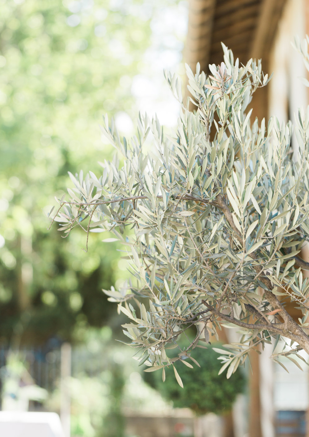 Mariage au Château Pech Céleyran - Marie + Thomas - Blog Mariage Madame C Mariage au Château Pech Céleyran - Marie + Thomas - Blog Mariage Madame C