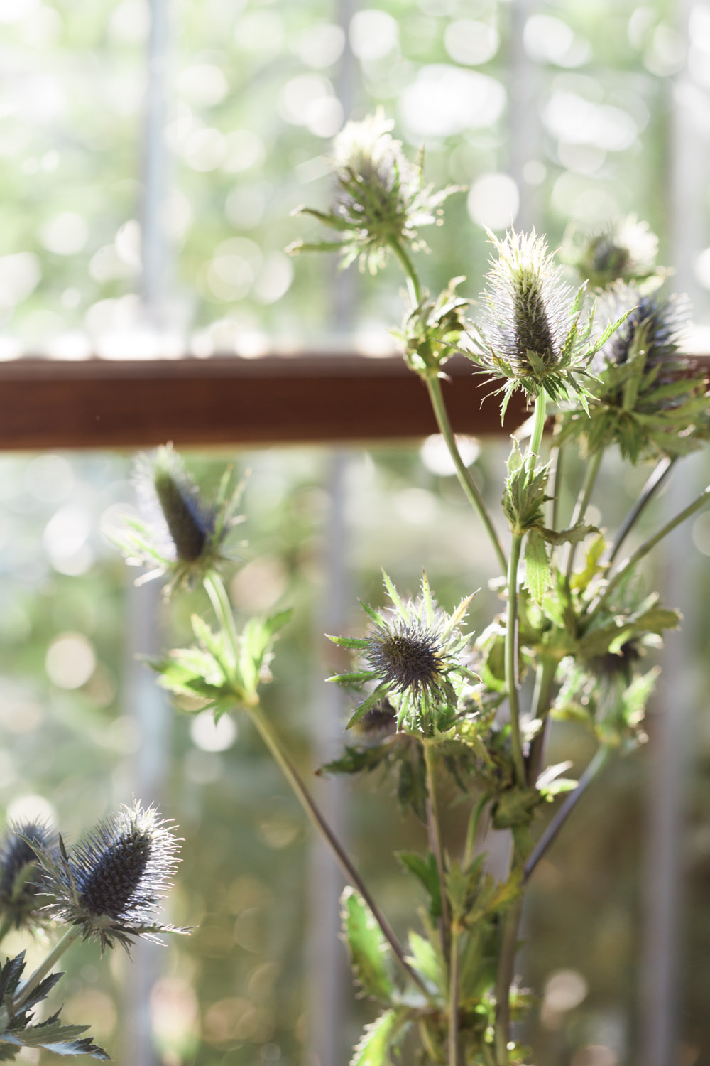 Mariage au Château Pech Céleyran - Marie + Thomas - Blog Mariage Madame C Mariage au Château Pech Céleyran - Marie + Thomas - Blog Mariage Madame C