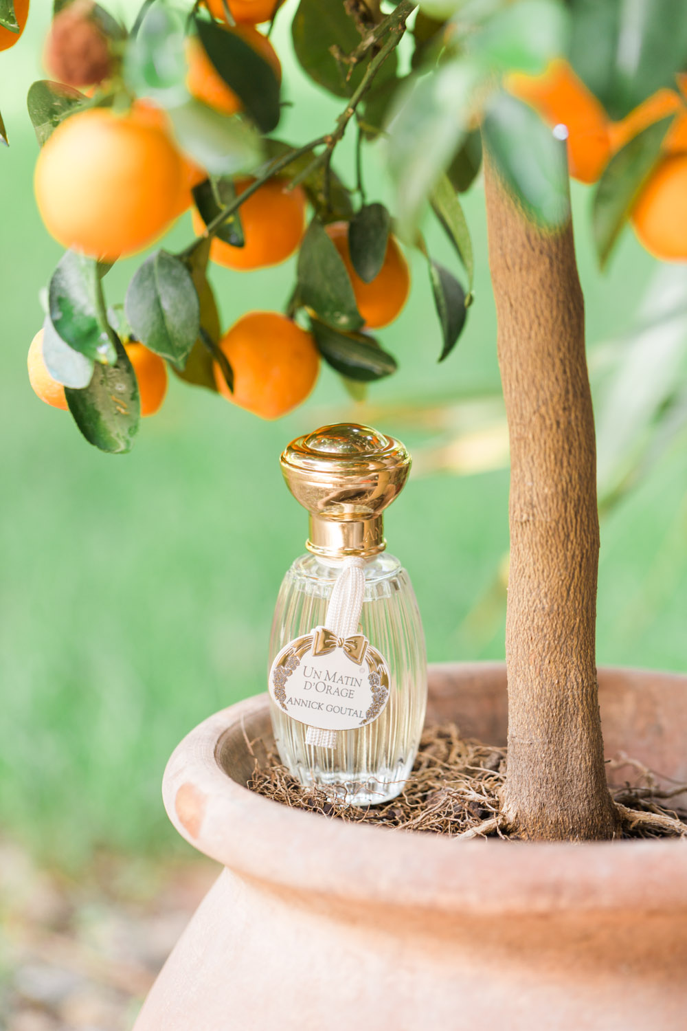 Mariage au Château Pech Céleyran - Marie + Thomas - Blog Mariage Madame C Mariage au Château Pech Céleyran - Marie + Thomas - Blog Mariage Madame C