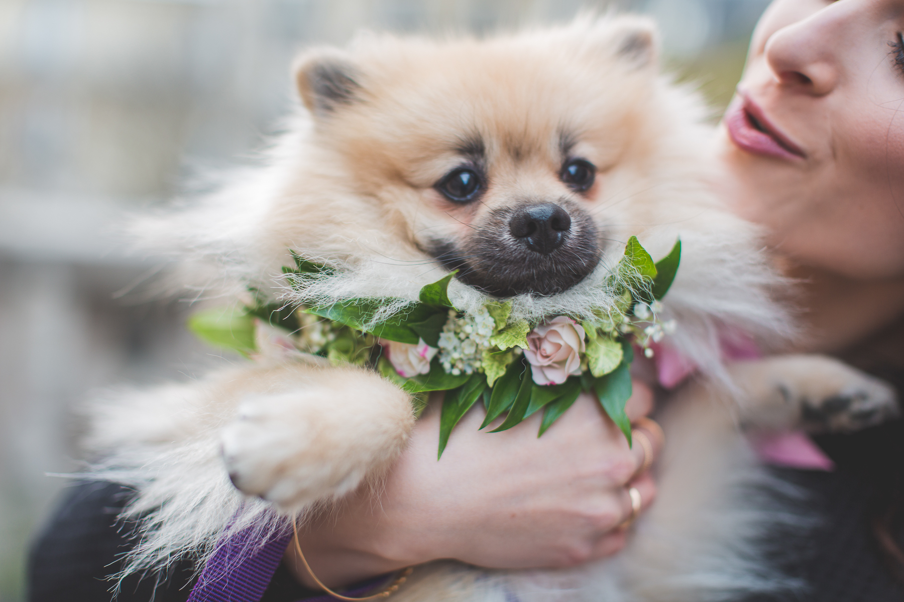 Ma petite robe noire - Blog Mariage Madame C Ma petite robe noire - Blog Mariage Madame C