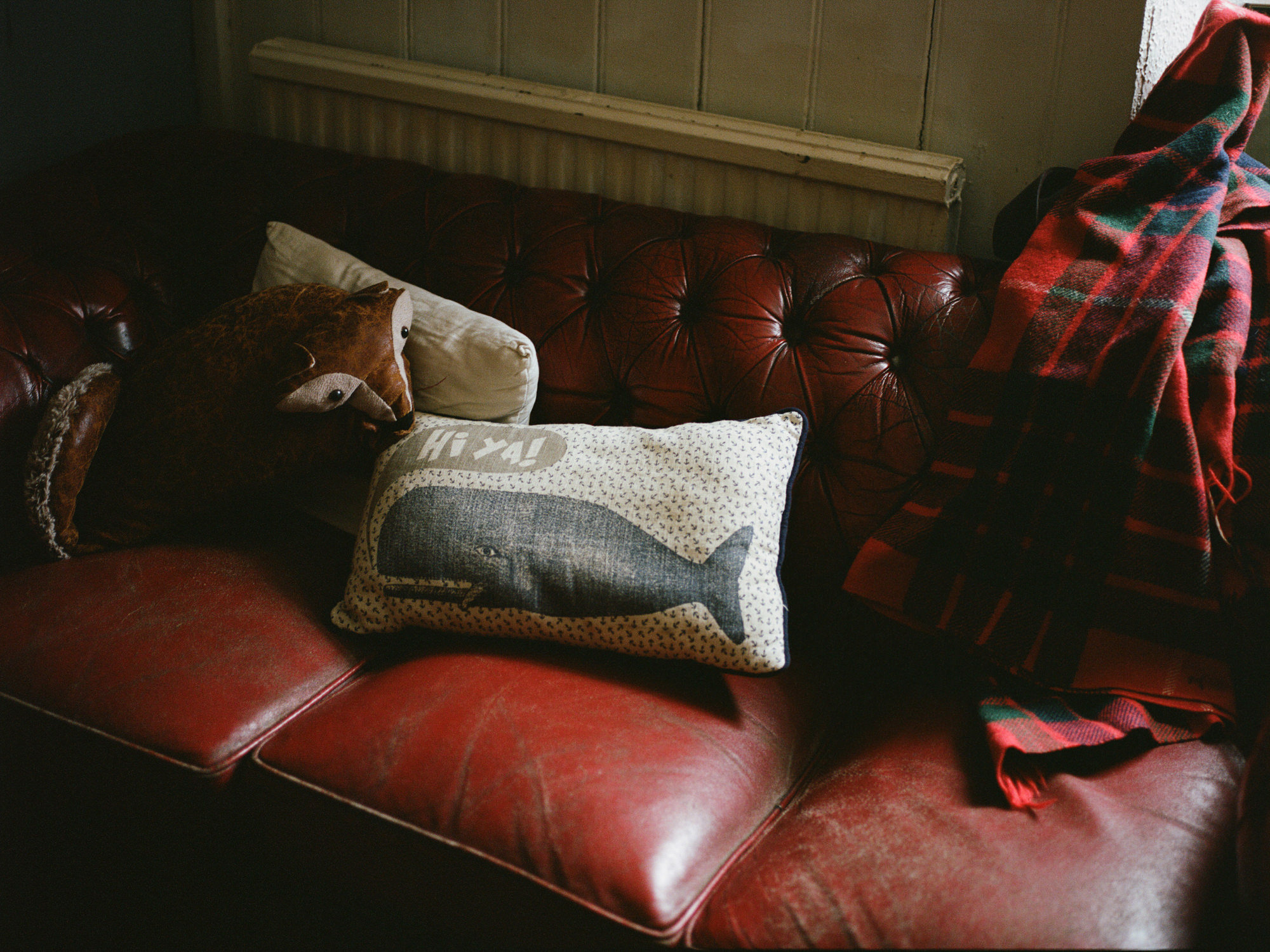 zephyr-luna-engagement-ecosse-iles-shetland-leblogdemadamec.fr-19