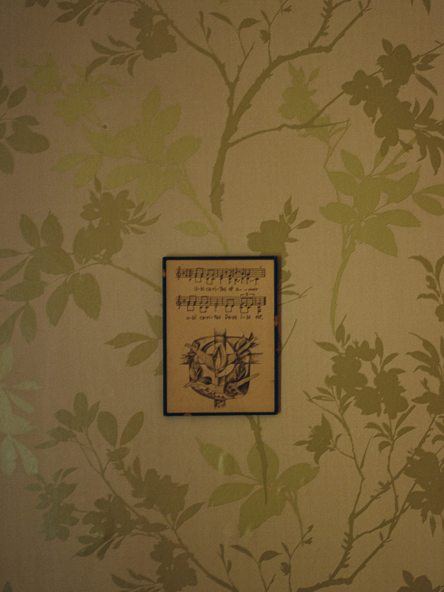 zephyr-luna-engagement-ecosse-iles-shetland-leblogdemadamec.fr-21