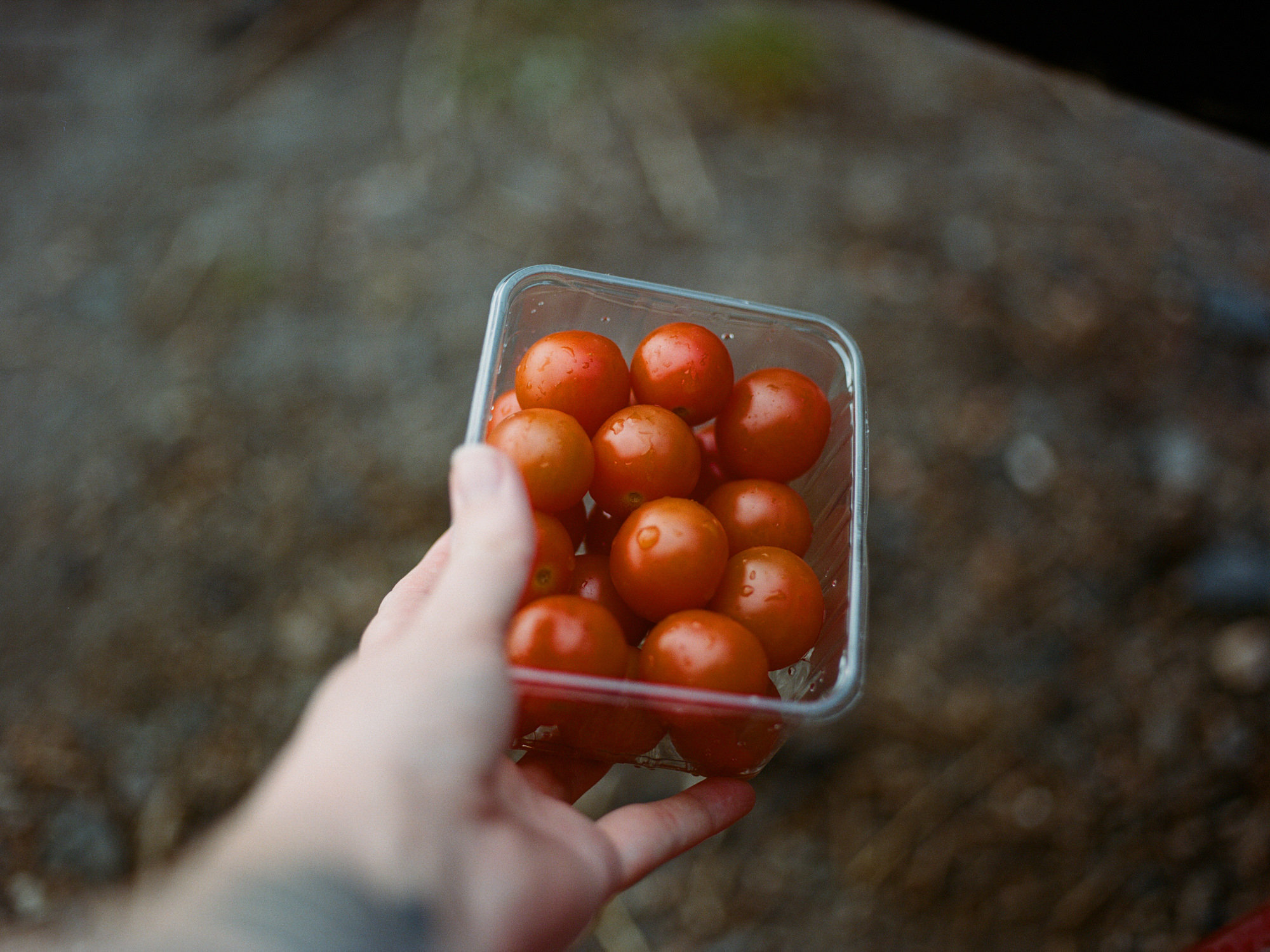zephyr-luna-engagement-ecosse-iles-shetland-leblogdemadamec.fr-25