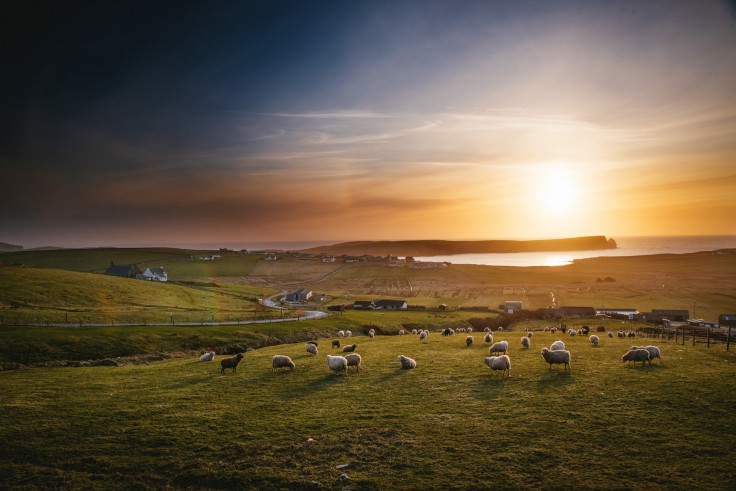 Séance engagement en Ecosse © Zéphyr et Luna
