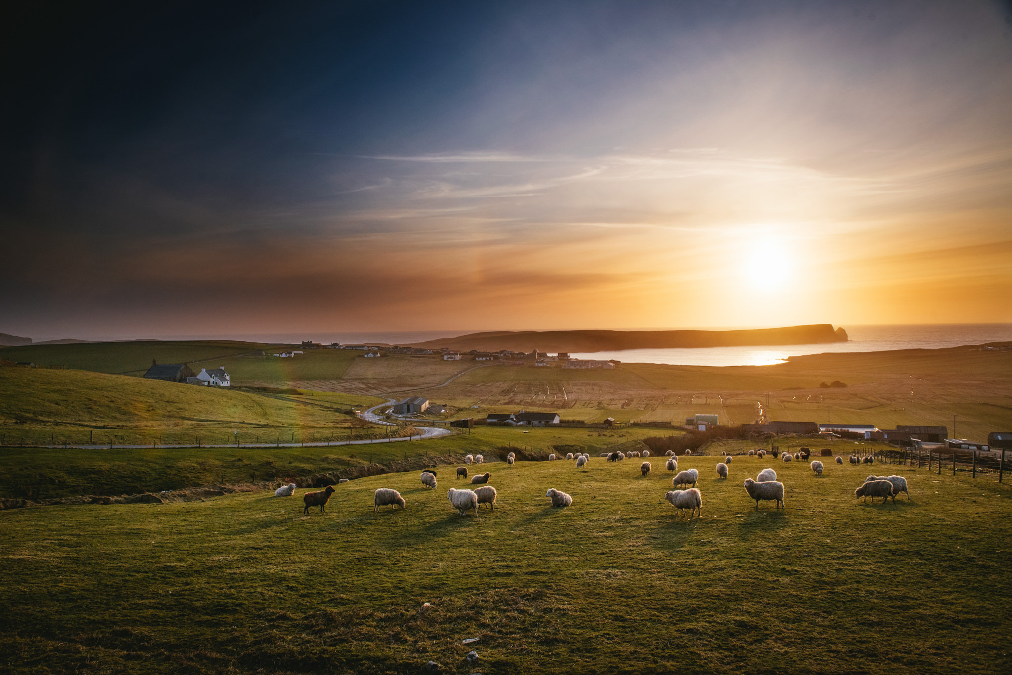 Séance engagement en Ecosse © Zéphyr et Luna