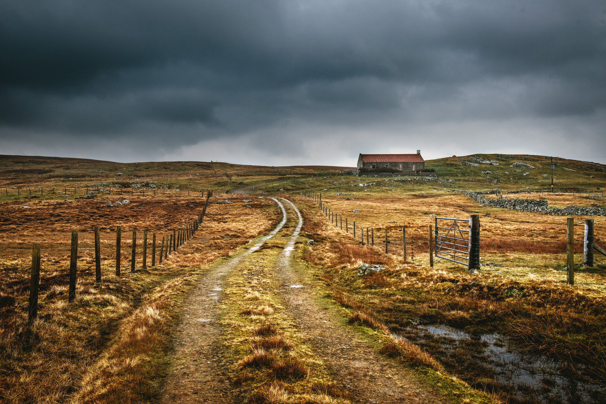 zephyr-luna-engagement-ecosse-iles-shetland-leblogdemadamec.fr-28
