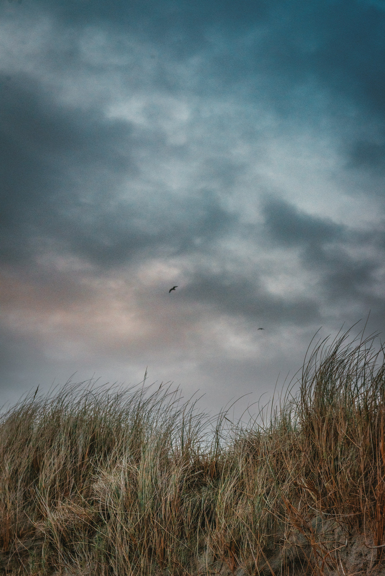 zephyr-luna-engagement-ecosse-iles-shetland-leblogdemadamec.fr-31