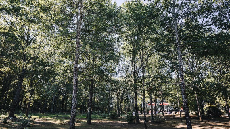 garderes-dohmen-mariage-dordogne-chateau-la-fleunie-leblogdemadamec.fr-1