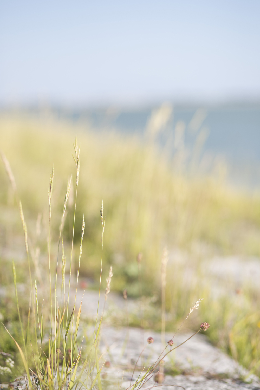 Un mariage sur l'île de Ré, au fort de la Prée - Elodie + Olivier - Blog Mariage Madame C Un mariage sur l'île de Ré, au fort de la Prée - Elodie + Olivier - Blog Mariage Madame C