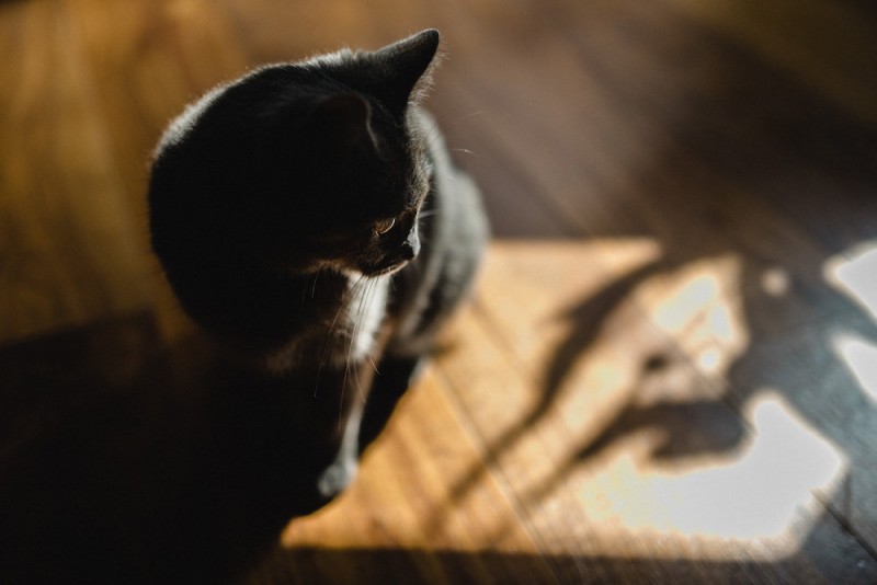 willybroussephotography-engagement-paris-laura-mathieu-012