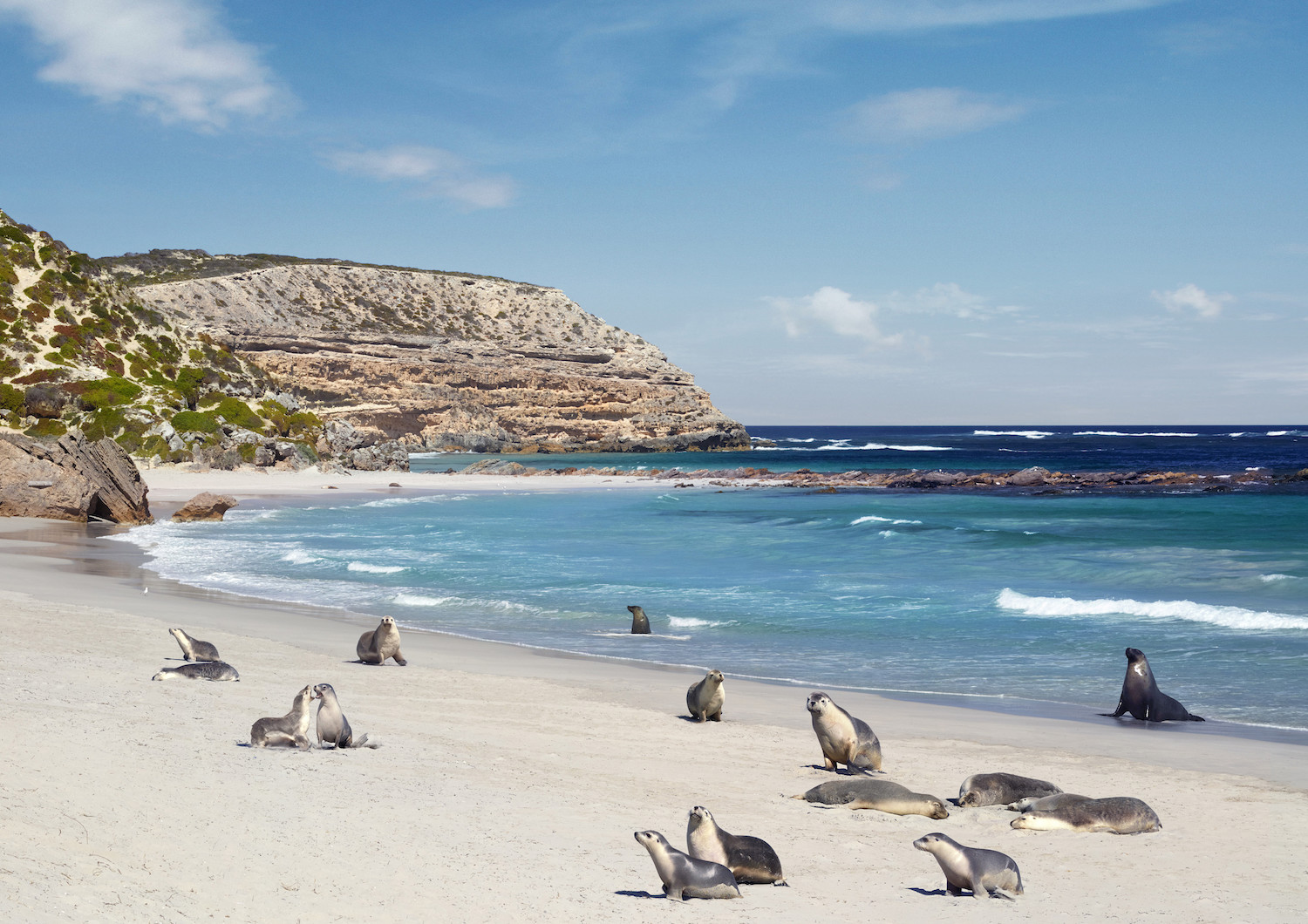 Destination Australie - Blog Mariage Madame C