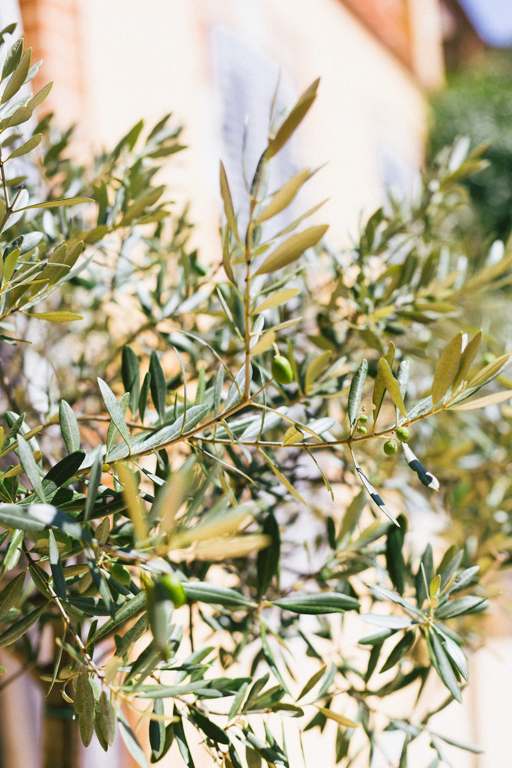 Mariage château de Larroque à Gimont