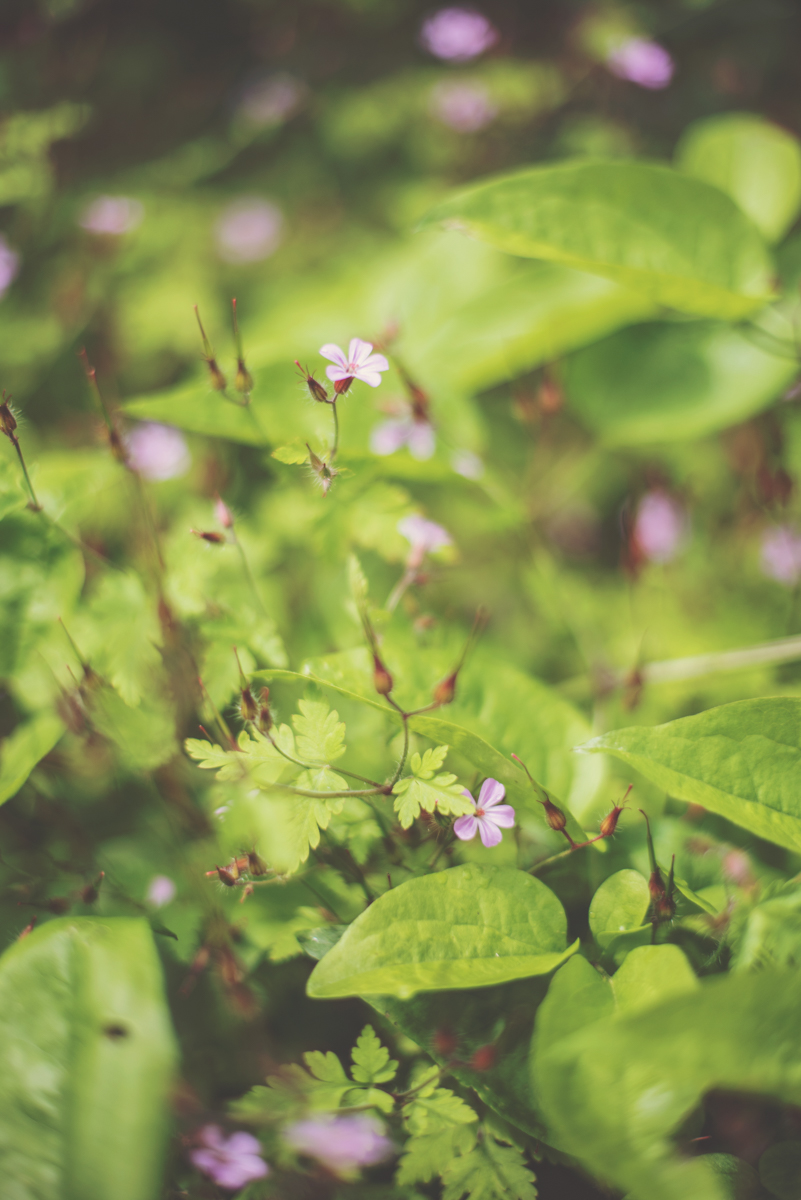 Un mariage en Bourgogne au Château de Santenay - Blog Mariage Madame C
