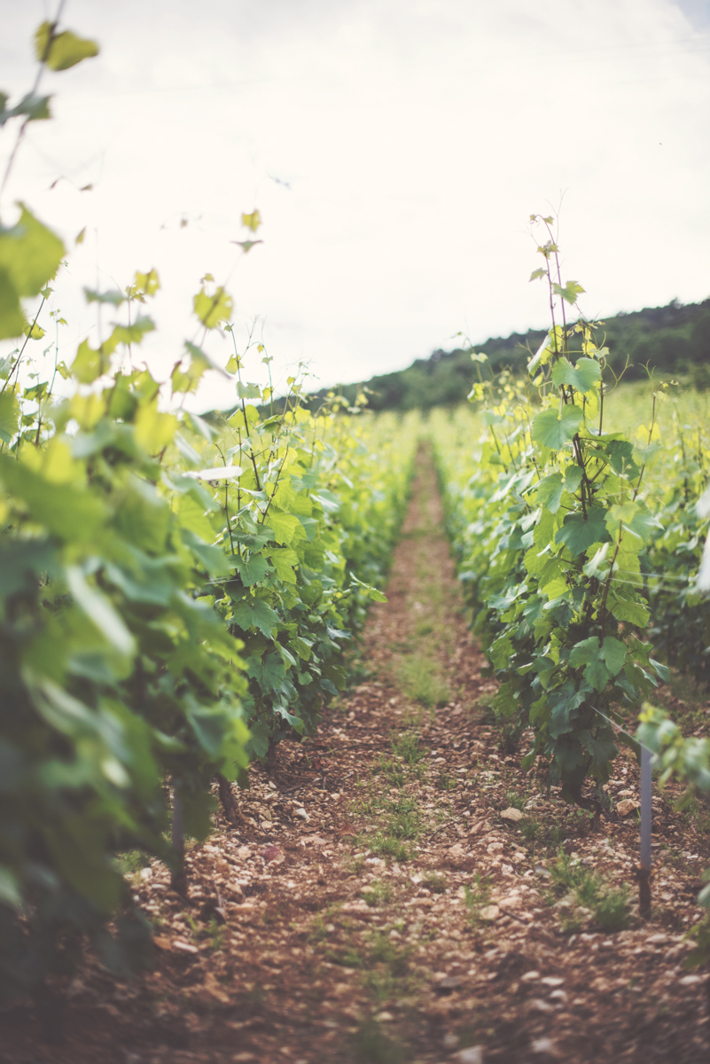 Un mariage en Bourgogne au Château de Santenay - Blog Mariage Madame C