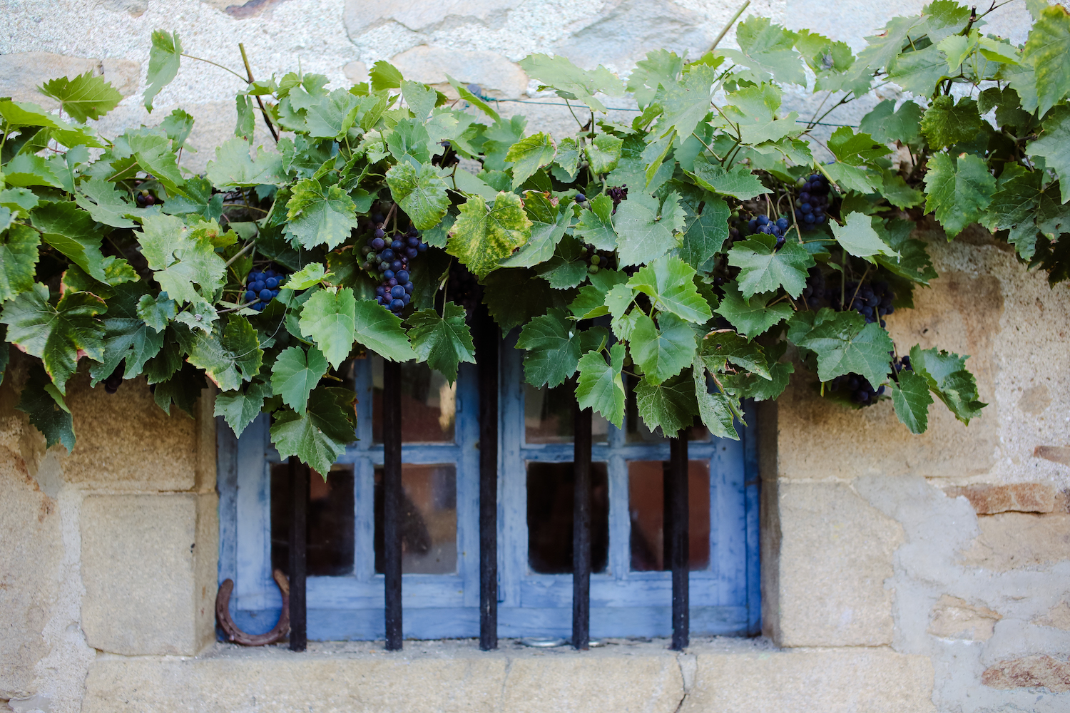 Un renouvellement de voeux en petit comité - Héloïse + Sébastien - Blog Mariage Madame C