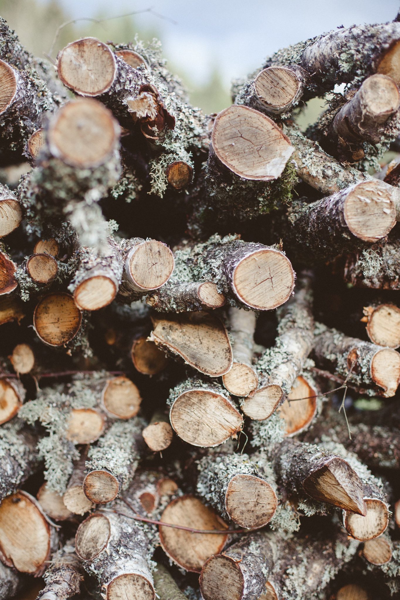 mariage alsace elodie winter