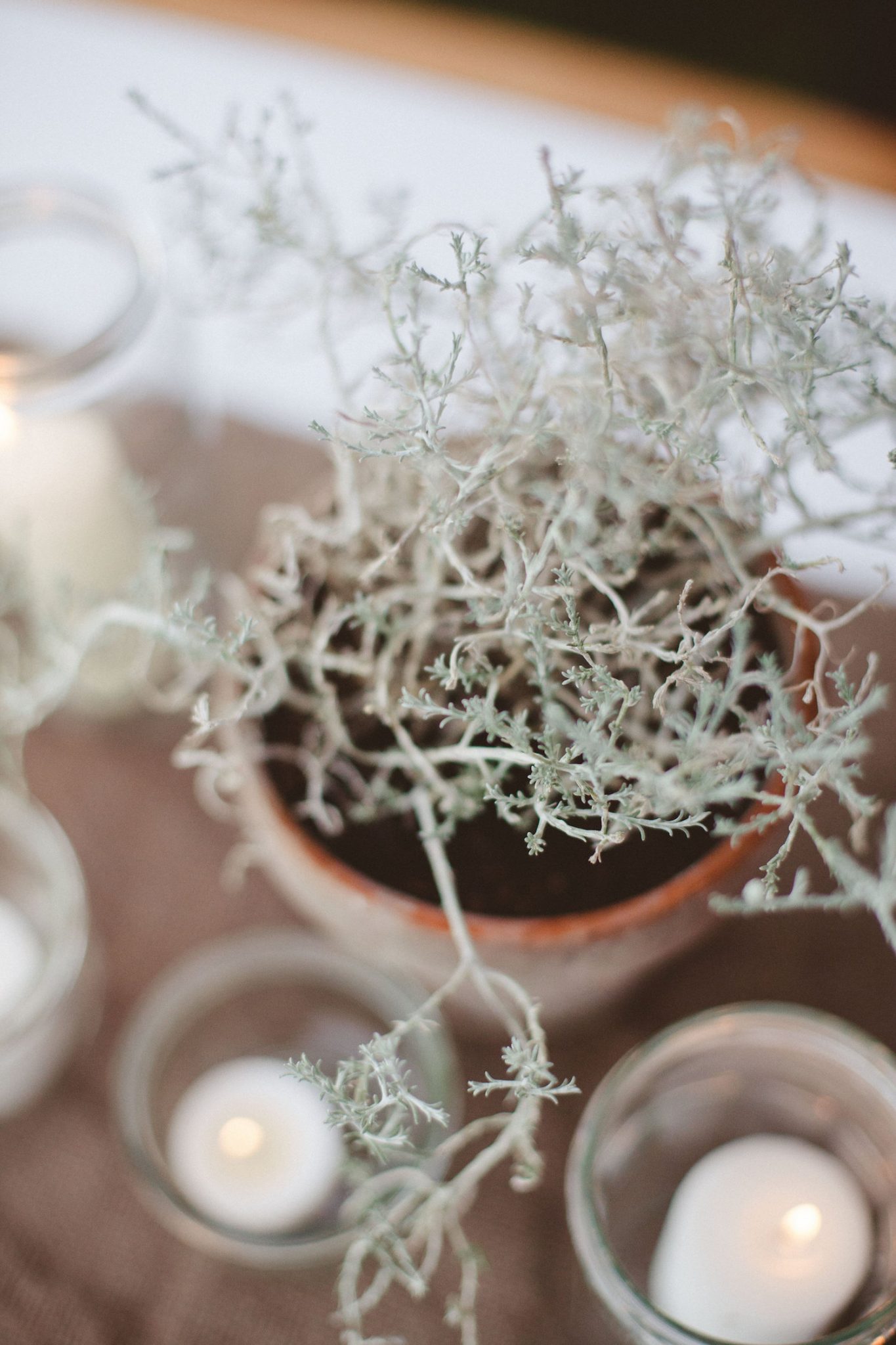 Mariage dans une ferme en Alsace - Lauren + Gaspard - Blog Mariage Madame C mariage alsace elodie winter