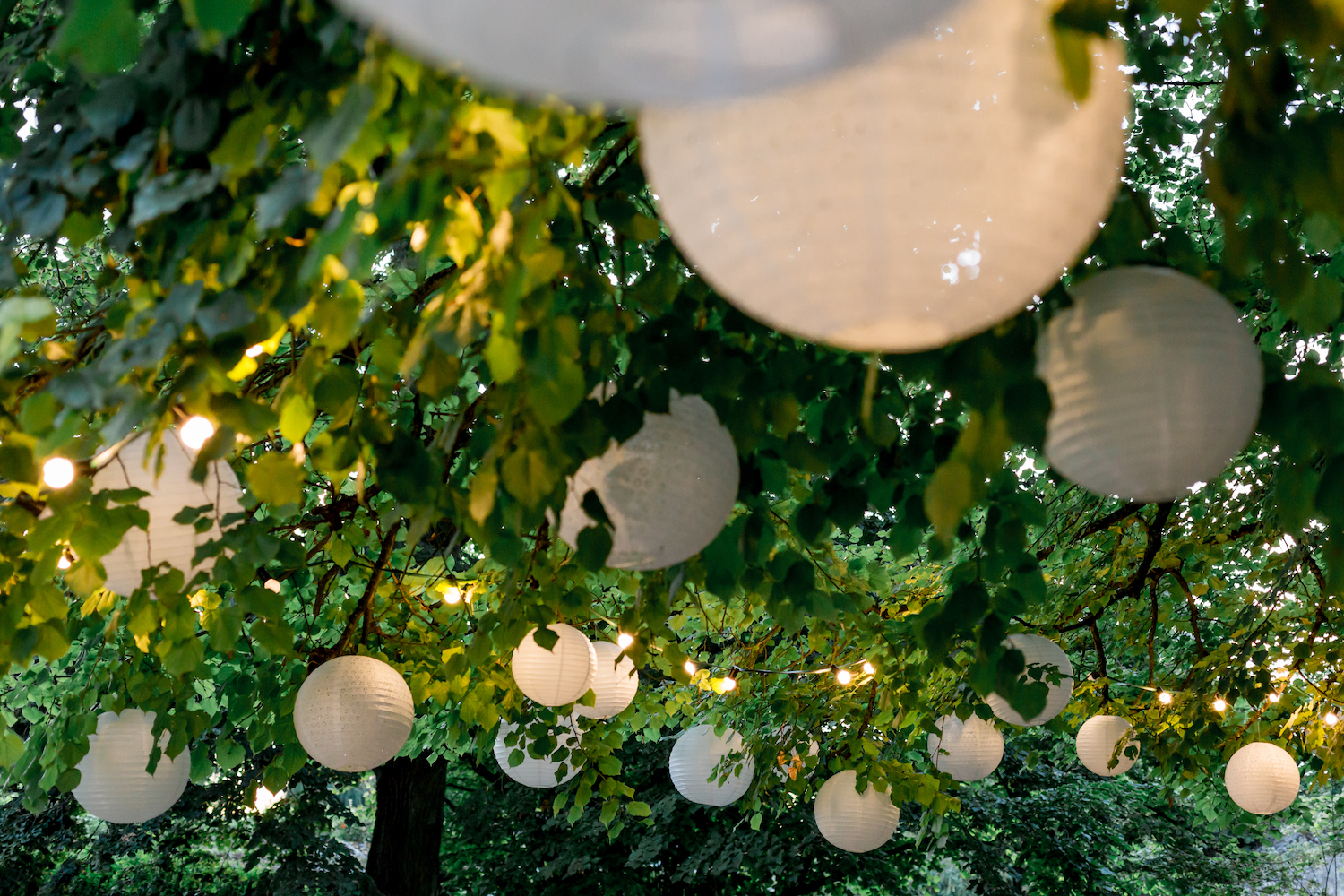 mariage champêtre paris