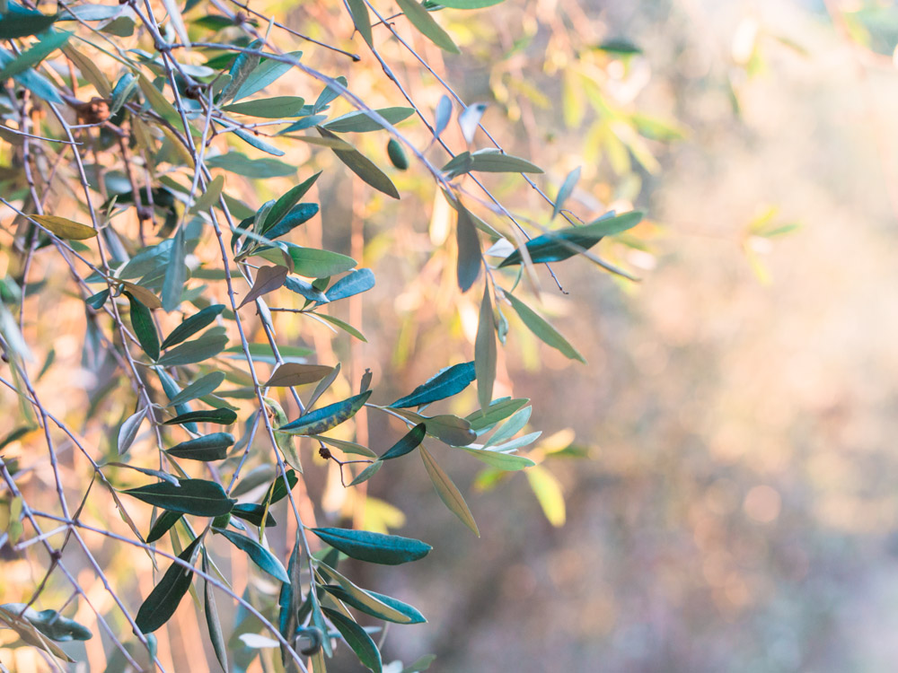 mariage toscane blanc coco photographe