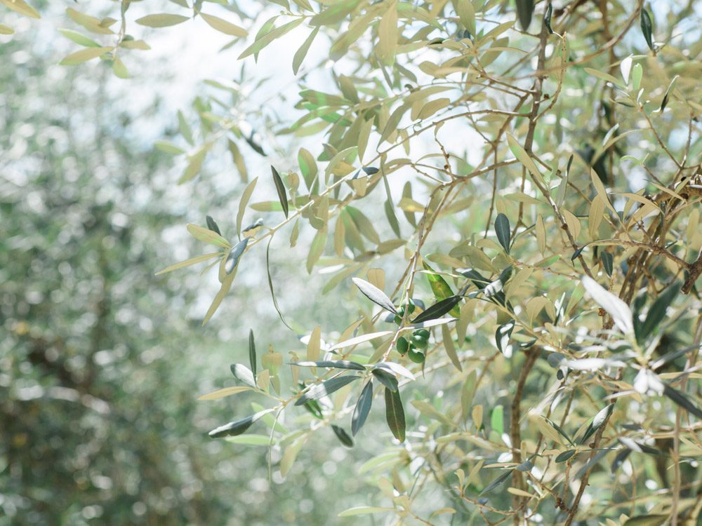 Un mariage en Toscane - Camille + Fabio - Blog Mariage Madame C