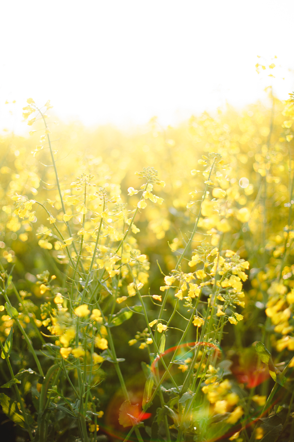 10 conseils pour réussir sa mise en beauté de Mariage - Blog Mariage Madame C