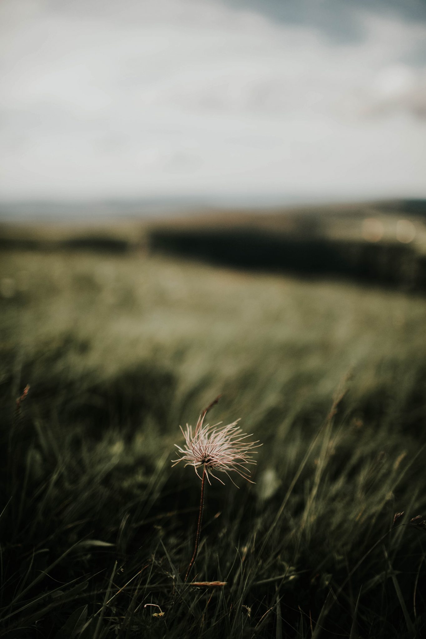 Mariage simple en Alsace - Rachel et Arnaud - Blog Mariage Madame C Mariage simple en Alsace - Rachel et Arnaud - Blog Mariage Madame C