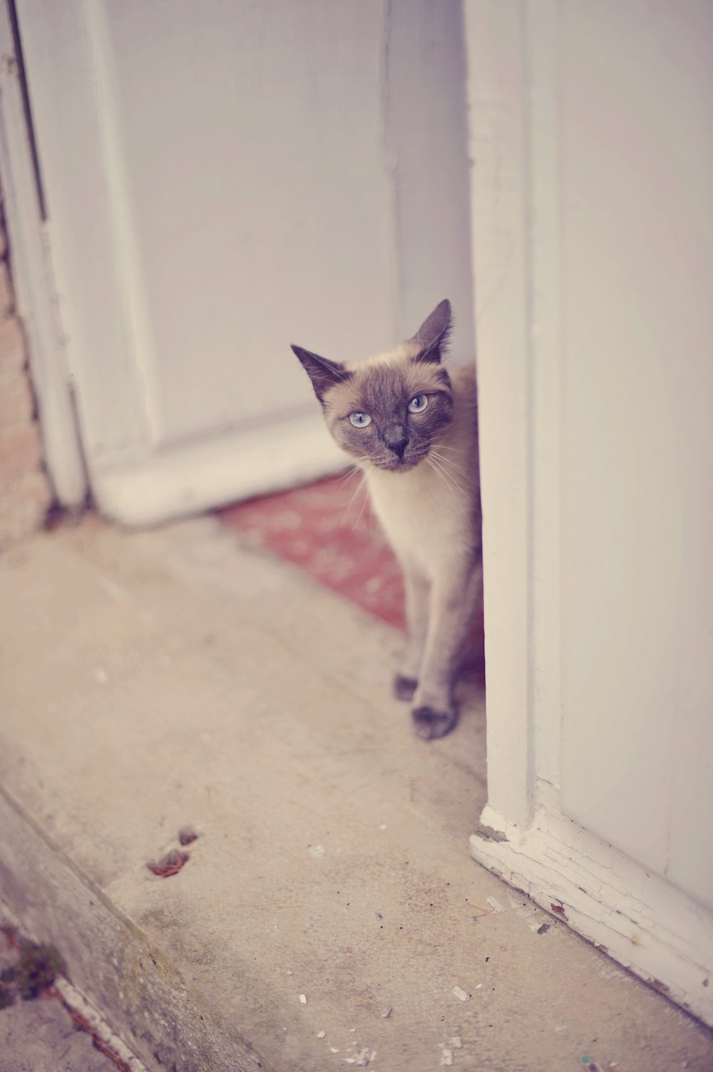 Un mariage Champêtre à Montesquieu - Lucie + Maxime - Blog Mariage Madame C Un mariage Champêtre à Montesquieu - Lucie + Maxime - Blog Mariage Madame C