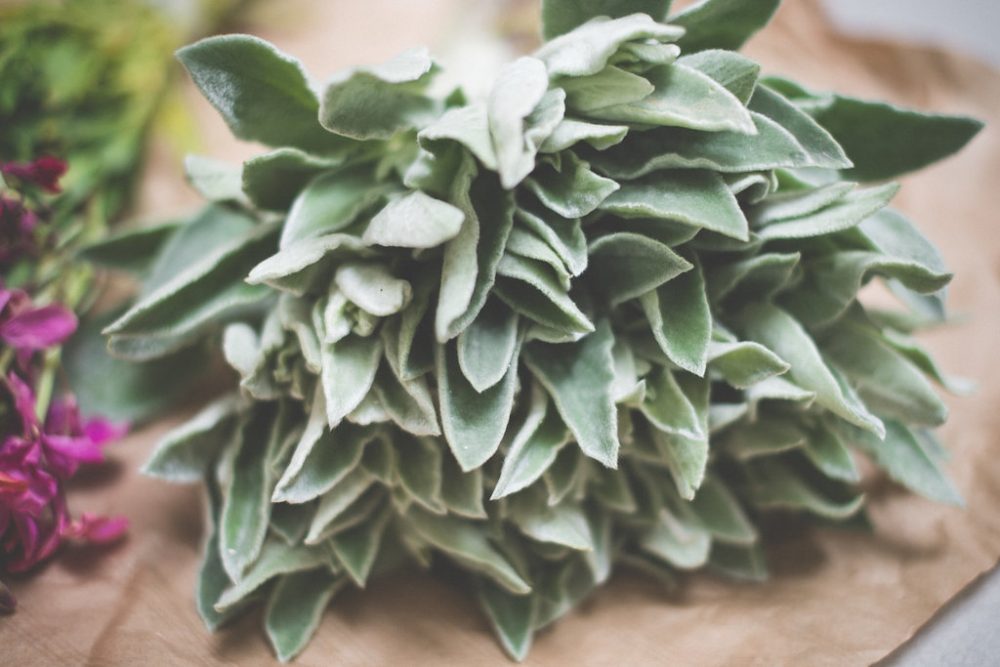 Réussir la décoration de son mariage - Blog Mariage Madame C