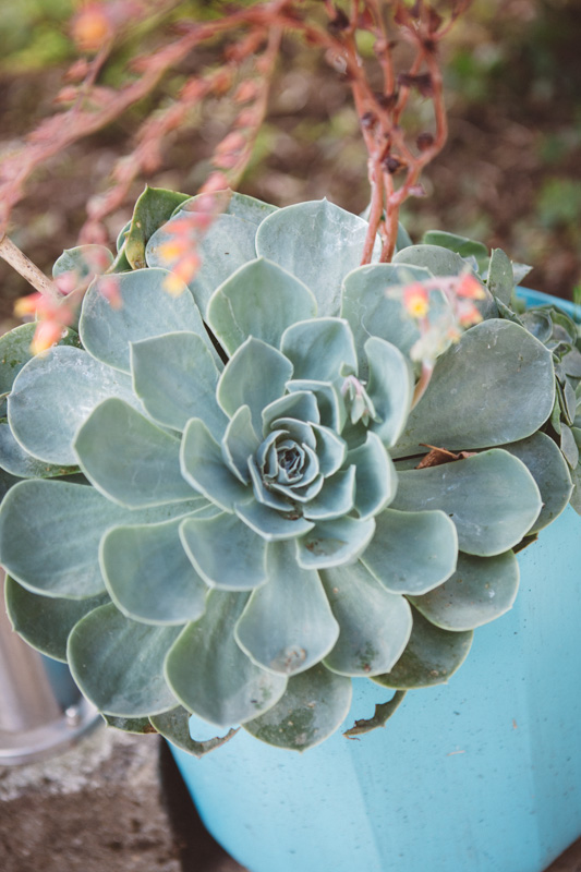 mariage Bretagne Eva Bigeard